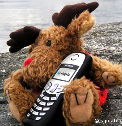 sipgate bietet Privatkunden bei Bedarf auch die passende VoIP-Hardware an