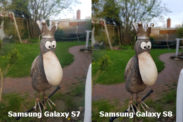 Kameravergleich S7 S8 Vogel