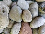 Xiaomi Xiaomi 15 Ultra