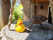 Xiaomi Xiaomi 15 Ultra