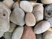 Google Pixel 10 Pro XL