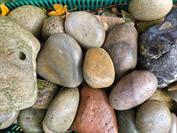 samsung Galaxy S25 FE