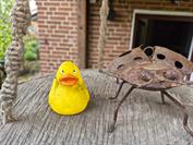 samsung Galaxy S25 FE