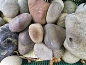 samsung Galaxy S25 Edge