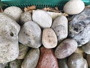 Xiaomi Xiaomi 15T Pro