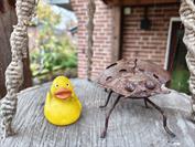 Xiaomi Xiaomi 15T Pro