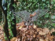 motorola motorola edge 70