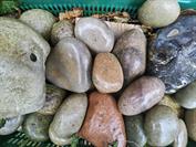 motorola motorola edge 70