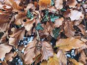 Xiaomi Redmi Note 14 Pro 5G