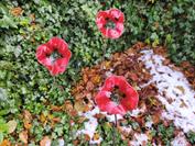 Xiaomi Redmi Note 14 Pro 5G