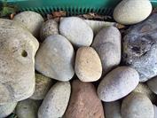 samsung Galaxy Z Fold7