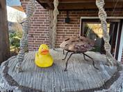 samsung Galaxy Z Fold7