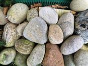 samsung Galaxy Z Flip7