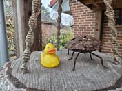 samsung Galaxy Z Flip7