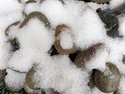 Google Pixel 10 Pro Fold