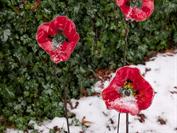 Google Pixel 10 Pro Fold