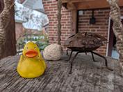 Google Pixel 10 Pro Fold