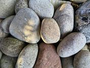 motorola motorola edge 60 neo