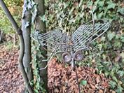 motorola motorola edge 60 neo