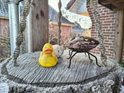 motorola motorola edge 60 neo