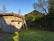 motorola motorola edge 60 neo