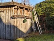 motorola motorola edge 60 neo