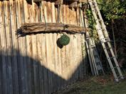 motorola motorola edge 60 neo