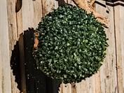 motorola motorola edge 60 neo