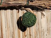 motorola motorola edge 60 neo