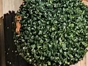 motorola motorola edge 60 neo