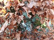 Xiaomi REDMI Note 15 Pro