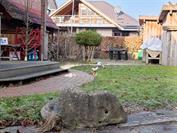 Xiaomi REDMI Note 15 Pro