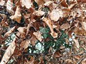 realme realme GT 8 Pro