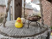 realme realme GT 8 Pro